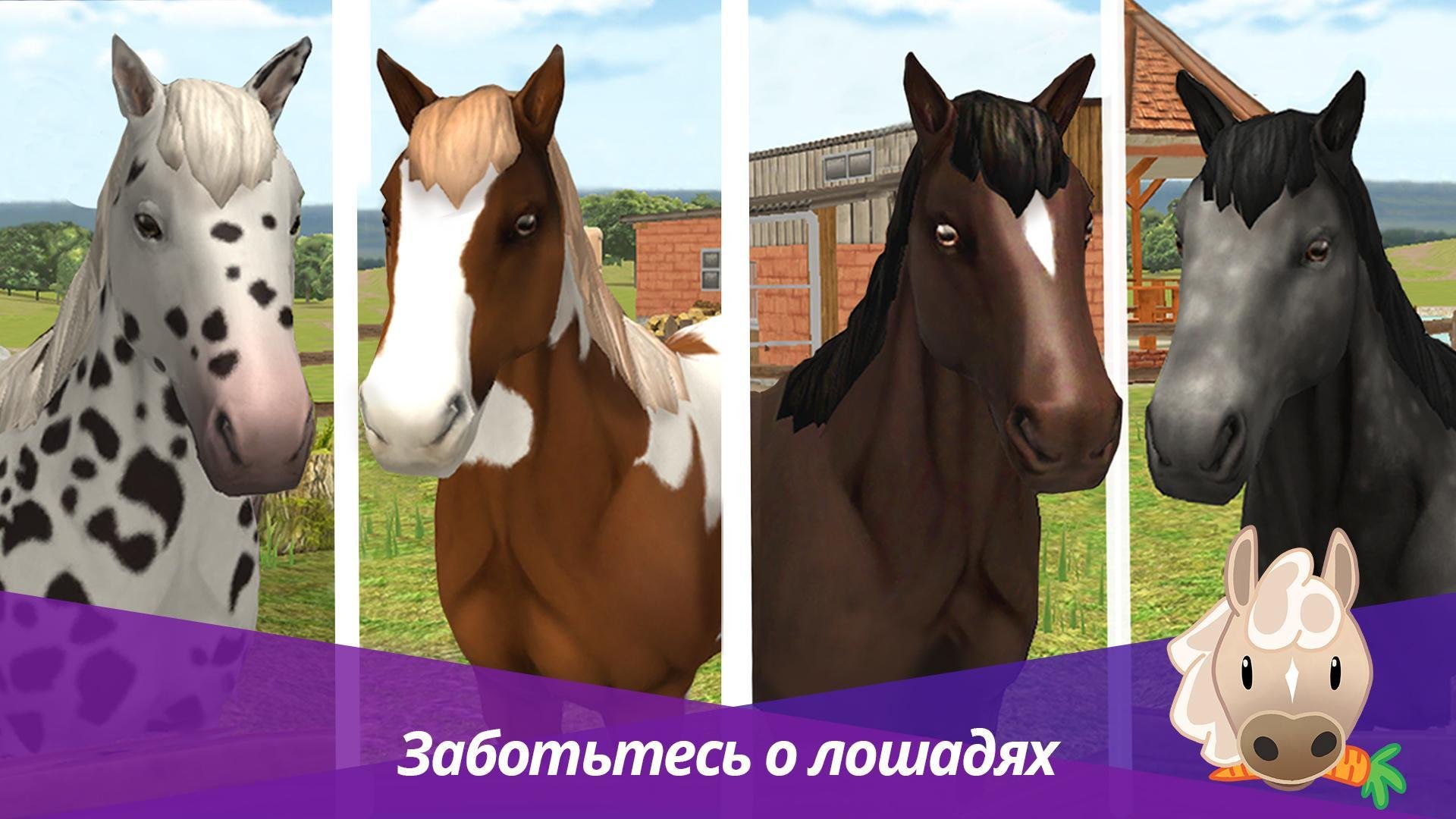 Мир лошадей – конкур