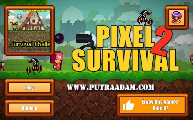Pixel Survival Game 2