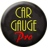 Car Gauge Pro