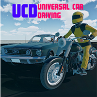 Universal Car Driving