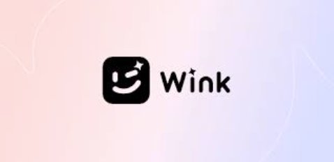 Wink-Video Retouching Tool
