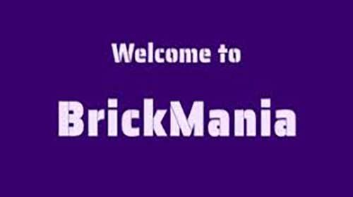 Brick Mania: Fun Arcade Game