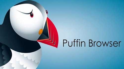 Puffin Incognito Browser