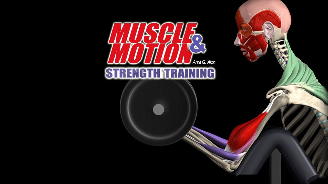 Strength Training от Muscle & Motion