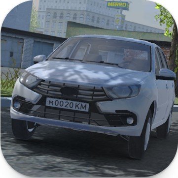 Realistic Driver Simulator