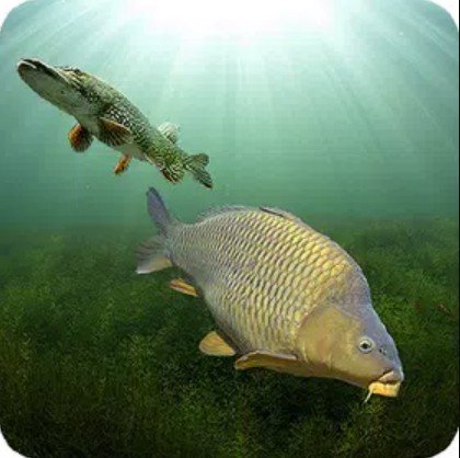 3DCARP