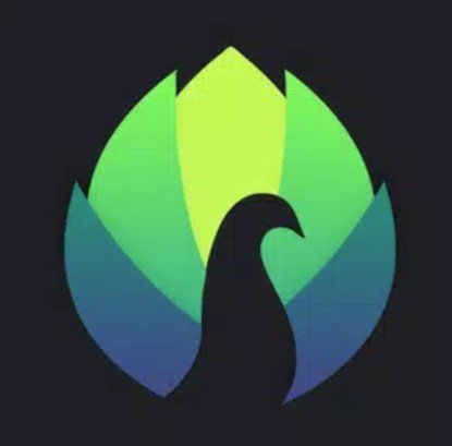 Peafowl Theme Maker for EMUI