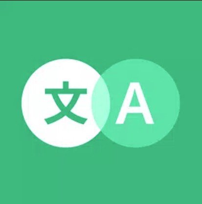 Instant Translate On Screen